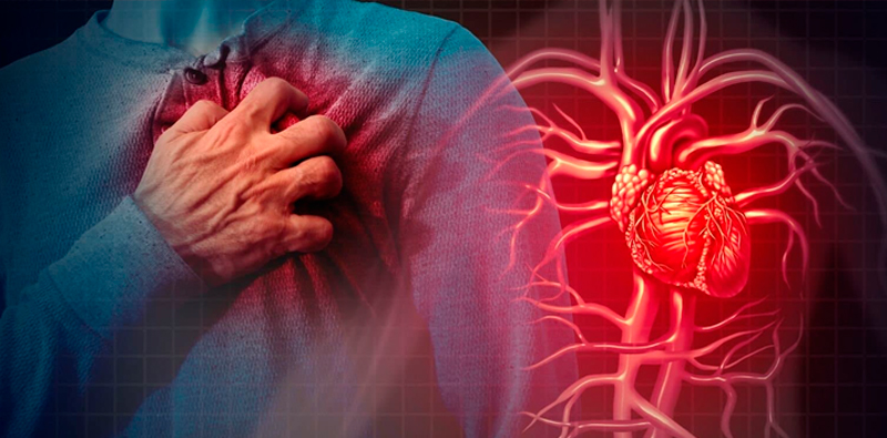 Как избежать смерти от болезней сердечно-сосудистой системы