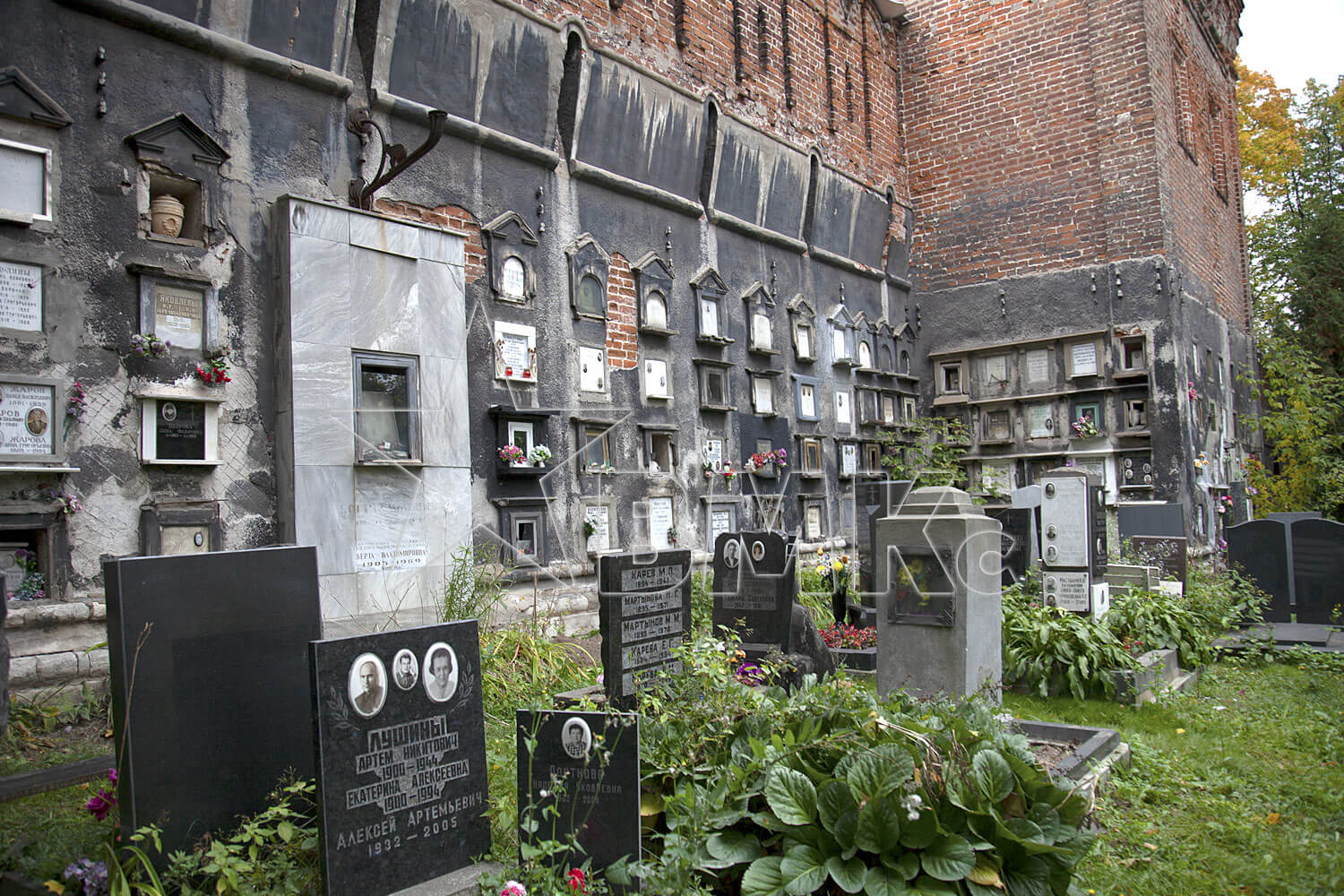Фото донского кладбища в москве